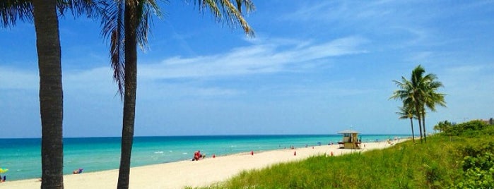 Hollywood Beach🌴 is one of Tempat yang Disukai Stéphan.