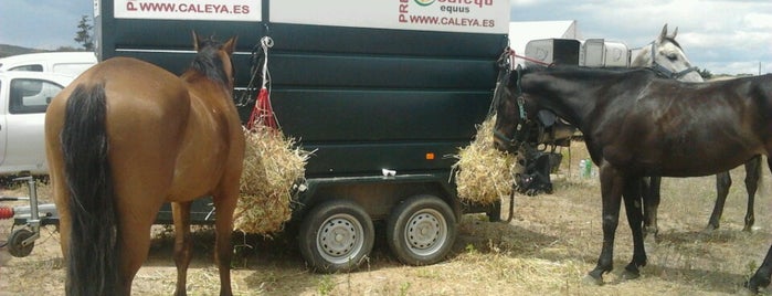 Raid de elvas is one of Eventos Equestres - Horse Events.