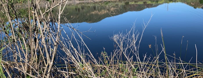 Barbara's Lake is one of Discover L.A.'s Parks.