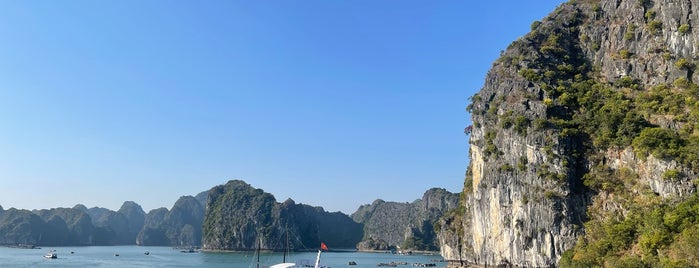 Ha Long Bay is one of Hanoi.