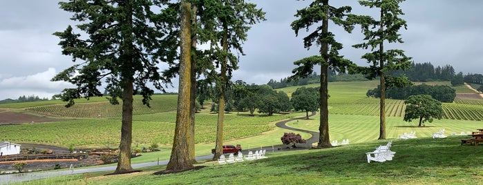 Stoller Winery is one of Wineries in Willamette Valley.