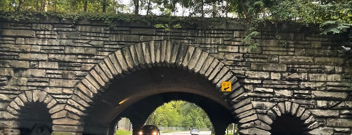 Rockefeller Park is one of Things to do around University Circle area.