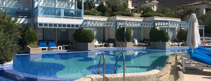 Asfiya Sea View Hotel is one of AKDENİZ.