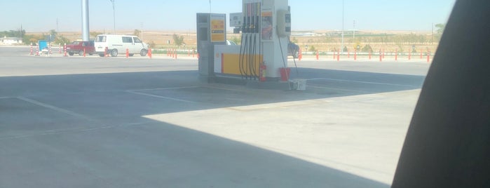 Shell Arı Petrol is one of Lugares favoritos de Dr.Gökhan.