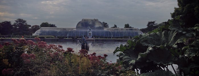 Kew Gardens Herbarium is one of Botanical gardens.