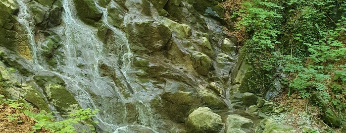 Под пръските на водопада is one of Водопади.