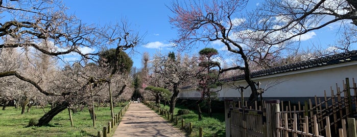 弘道館公園 is one of 公園.
