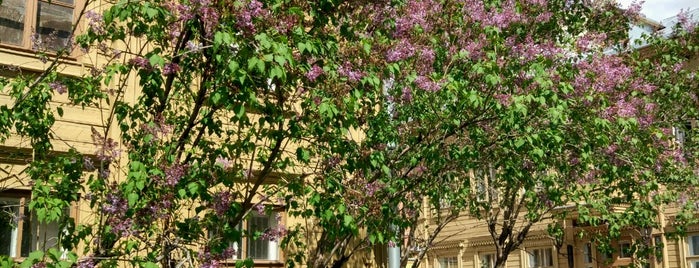 Samara Literary Memorial Museum / A. Tolstoy House Museum is one of Города для путешествий.