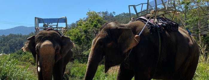 Elephant Terrace is one of Đà Lạt Places.