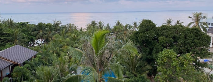 Tropicana Resort is one of Vietnam.