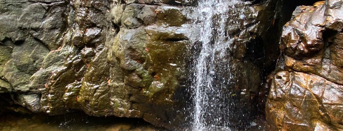 джунгли, водопады is one of Phu quoc.