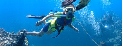 Maui Snorkeling on Lani Kai & Friendly Charters is one of Maui.