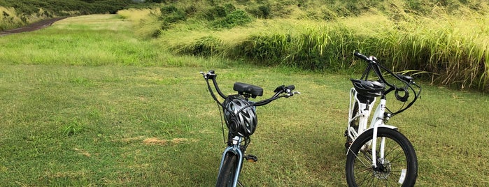 Pedego Electric Bikes Poipu is one of Lizzie 님이 좋아한 장소.