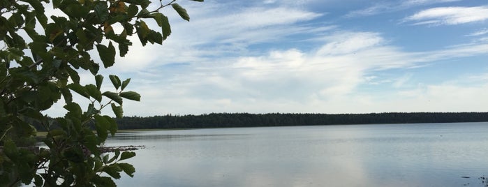 Копанское озеро is one of Lugares favoritos de Анастасия.