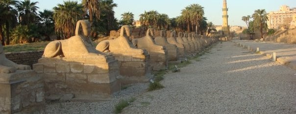 Avenue of the Sphinxes is one of Let's discover Egypt in 7 days!.