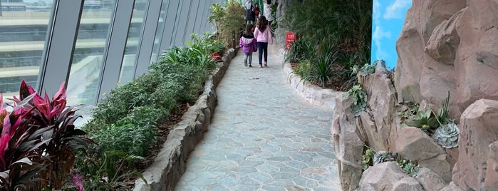 Joli Zoo is one of Shanghai - Fun for Kids.
