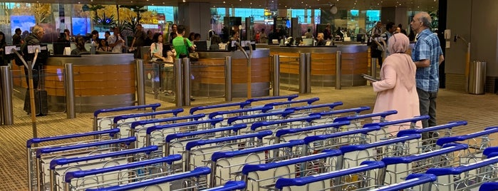 Terminal 3 Immigration (Departure) is one of สถานที่ที่ Craig ถูกใจ.