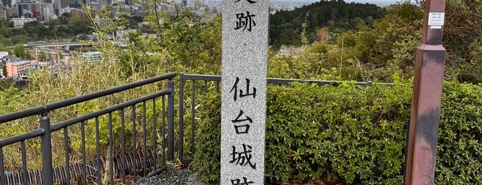 仙台城跡 is one of 城郭、城跡.