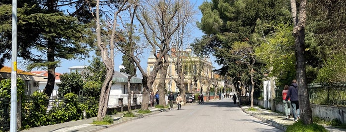 Ipek's Bar Prince Hotel Büyükada is one of Ycard.