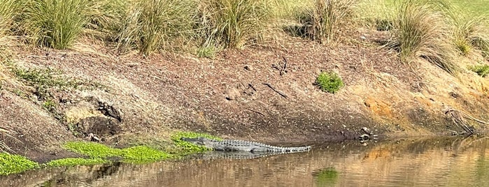 Cassique Golf Club is one of Kiawah Island.