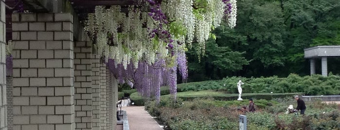 Jindai Botanical Gardens is one of Japan.