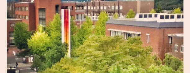 京都工芸繊維大学 京都工芸繊維大学