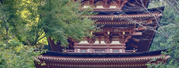 浄瑠璃寺 三重塔 is one of 京都府の国宝建造物.
