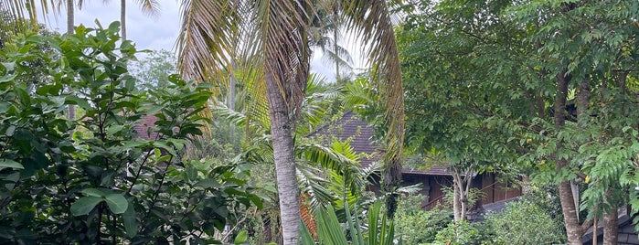 Ananda Ubud Resort is one of Bali.