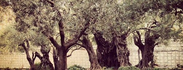 Garden of Gethsemane is one of Храмоздания Зa.