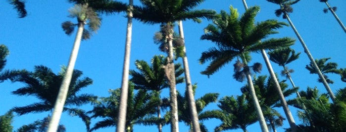 Jardim Botânico do Rio de Janeiro is one of All-time favorites in Brasil.