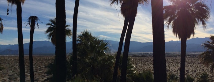 Coachella Valley Preserve is one of Thousand Swaying Palms.