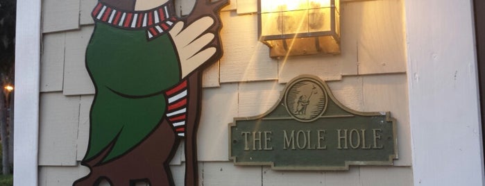 The Mole Hole is one of Freaker USA Stores Southeast.