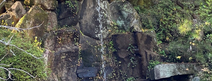 甘露の滝 is one of 石山寺の堂塔伽藍とその周辺.