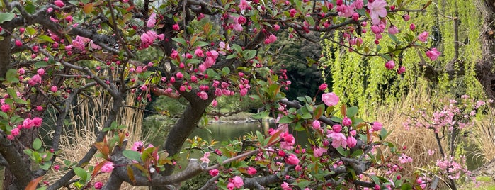 日本庭園 is one of Tokyo.