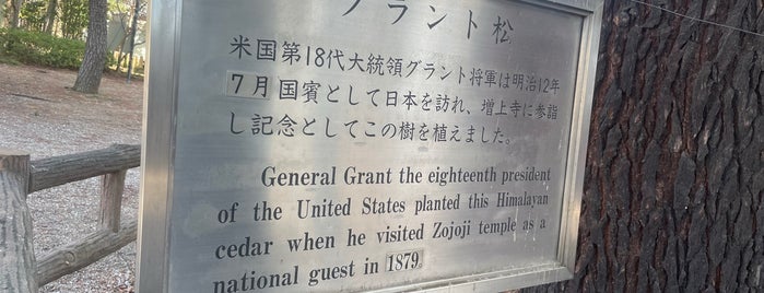 グラント松 is one of 木・緑地.