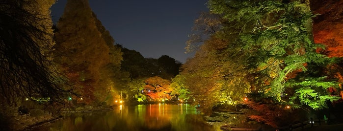 下の池 is one of 皇居周辺お散歩デート.