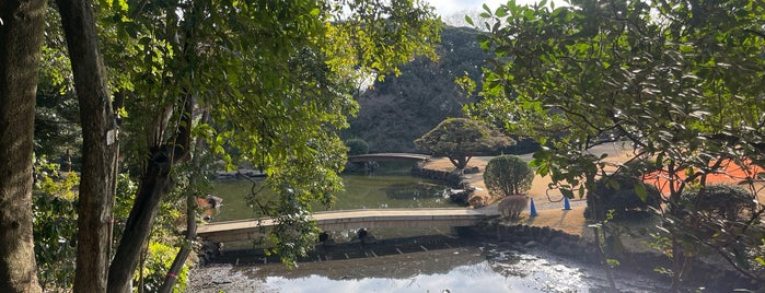 Tamamo Pond is one of 皇居周辺お散歩デート.