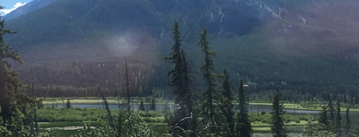 Banff Trail Park And Play is one of Orte, die Dorsa gefallen.