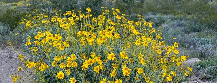 Sunrise Trail is one of AZ Sights.