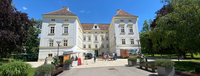 Schlosspark Bad Vöslau is one of All-time favorites in Austria.