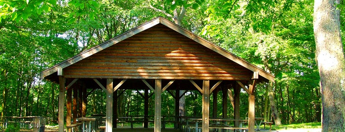 Settlers Cabin Park is one of Locais curtidos por Suz.