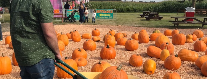 Hunter's Pumpkin Patch is one of New Places to try.