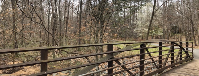 Clark's Creek Greenway is one of 10 nifty places in Charlotte.