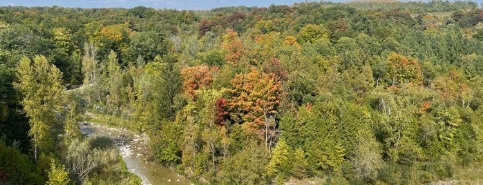 Rouge National Urban Park is one of Toronto.