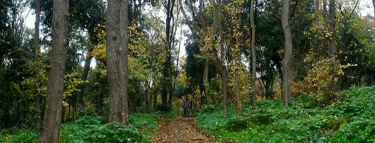 Yıldız Parkı is one of bitavsiye.