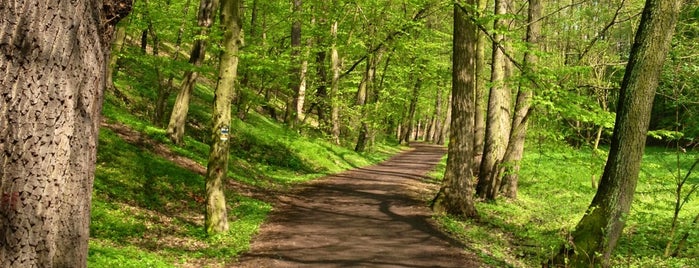 Kunratický les is one of Pražské parky.
