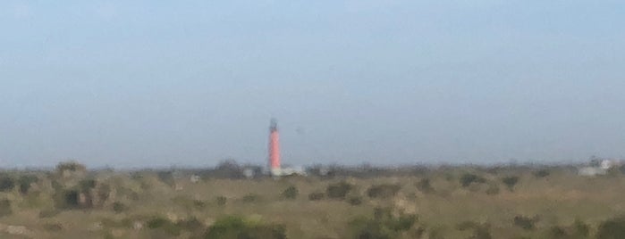 New Smyrna Beach Boardwalk is one of Tempat yang Disukai Lizzie.