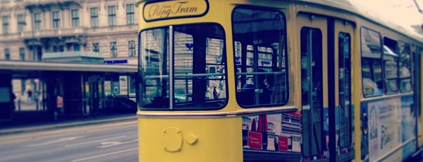 Vienna Ring Tram is one of Vienna.