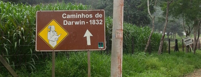 Caminho Darwin - Serra da Tirica. is one of Jaqueline'nin Beğendiği Mekanlar.