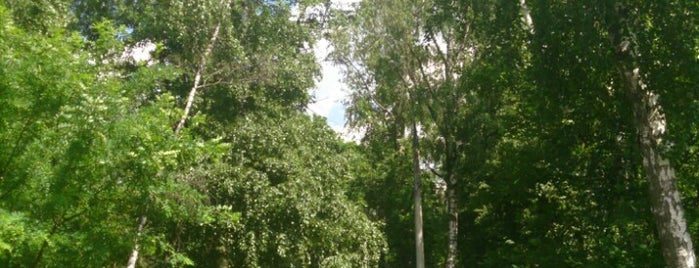 Berezovaya Roshcha Park is one of Lugares favoritos de Arina.